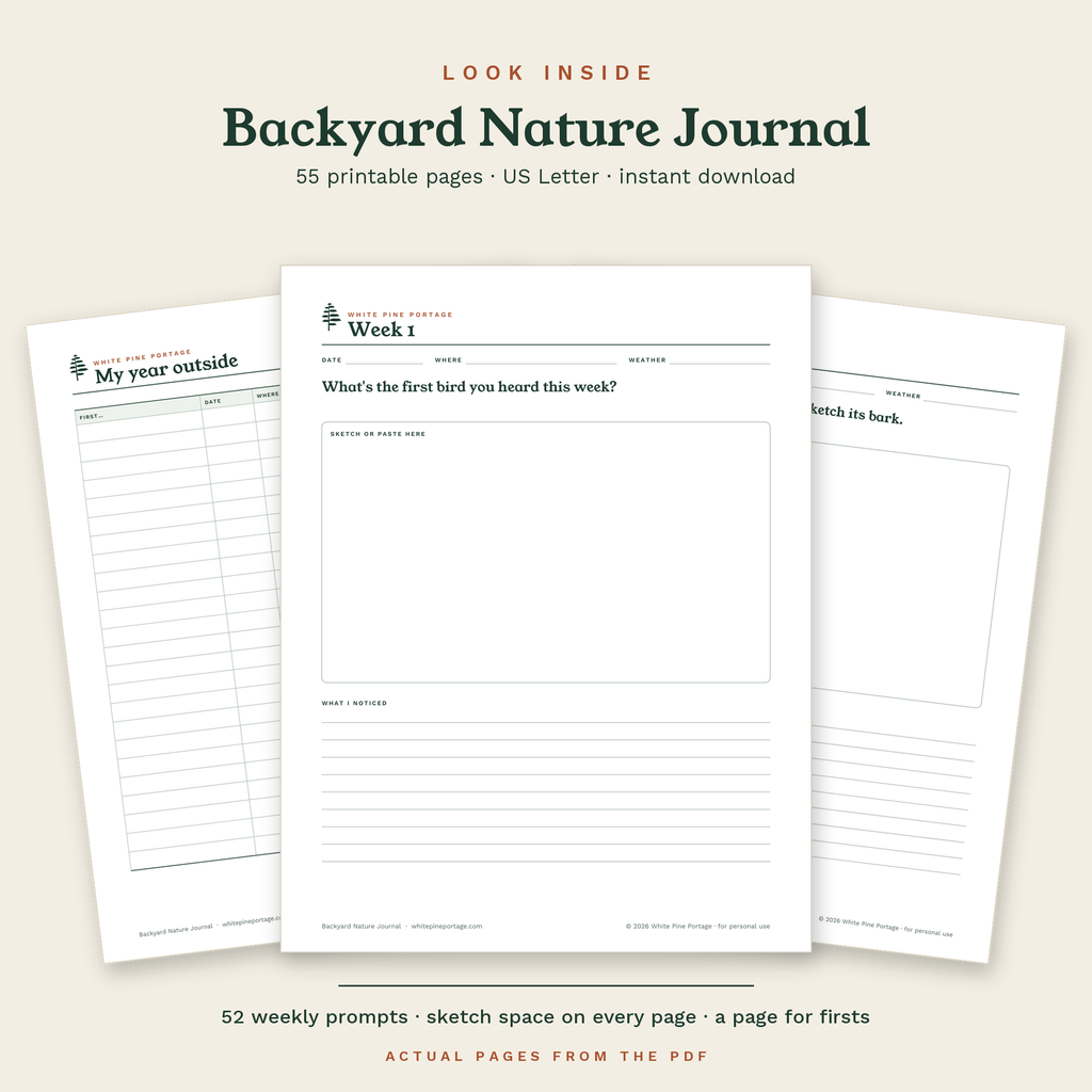 Look inside the Backyard Nature Journal: actual pages from the PDF, including a weekly prompt page