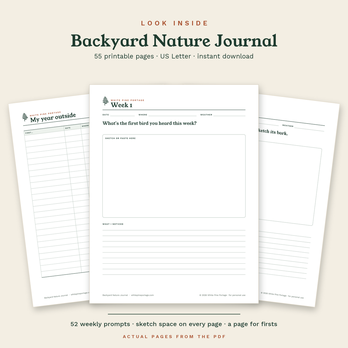 Look inside the Backyard Nature Journal: actual pages from the PDF, including a weekly prompt page